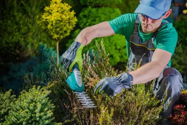 landscaping services North Attleborough